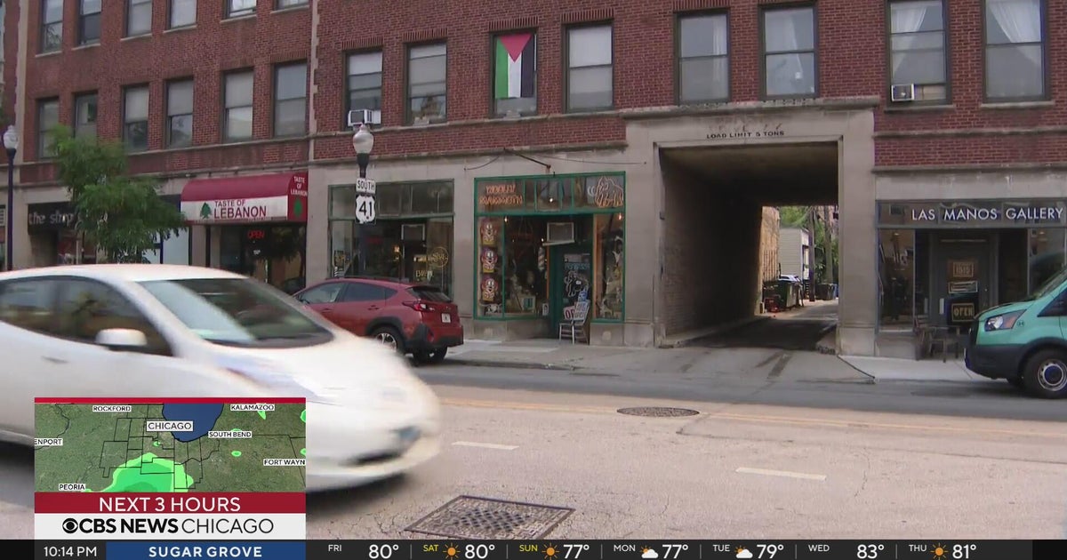 Eye on Chicago: Woolly Mammoth Antiques and Oddities
