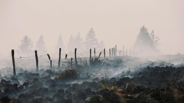 Europe Wildfire Ordnance 