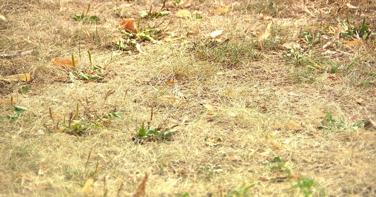 As Minnesota drought conditions worsen, relief remains uncertain
