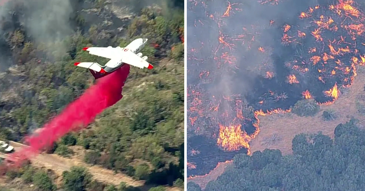 Ross Fire Expands to Over 80,000 Acres, Forces Evacuations and School Closures in North Texas
