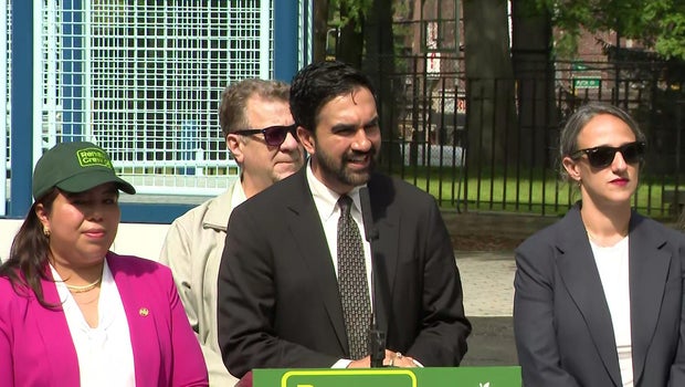 Coalition of minority-owned bodegas, supermarkets sues to stop Mayor Mamdani's city-run grocery store plan