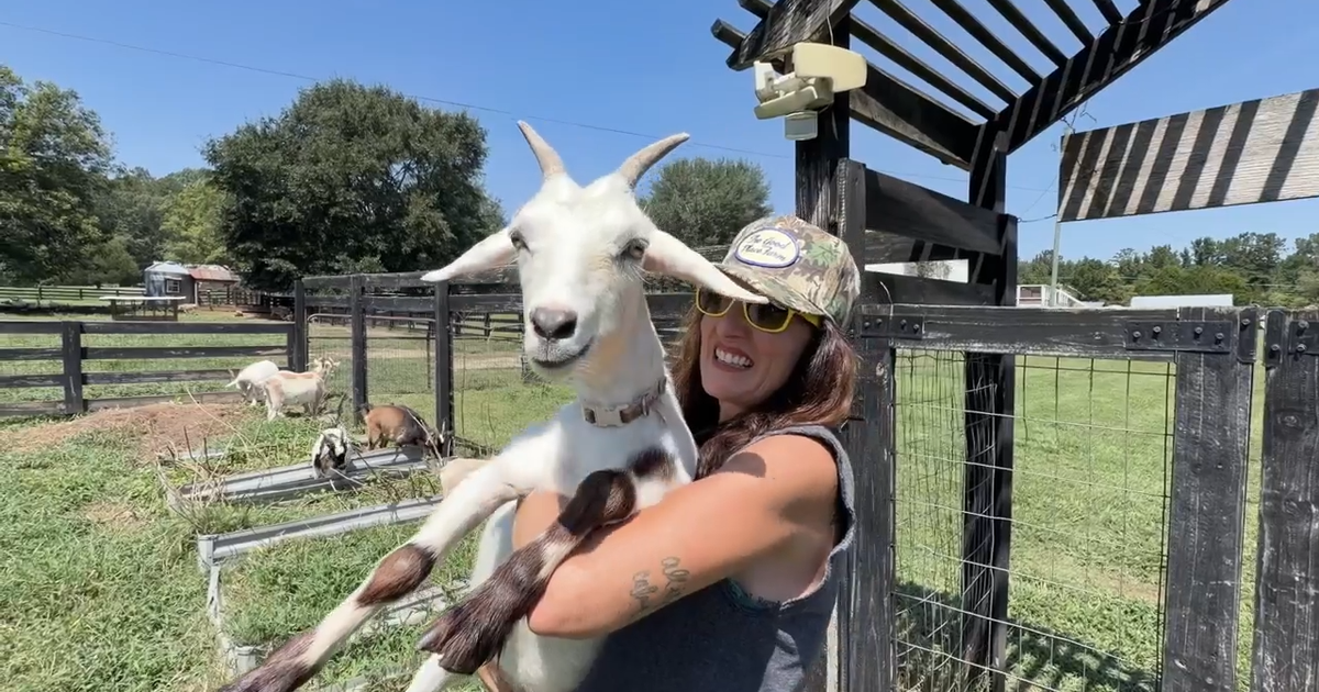Georgia mother trades city life to raise children on green pastures: 
