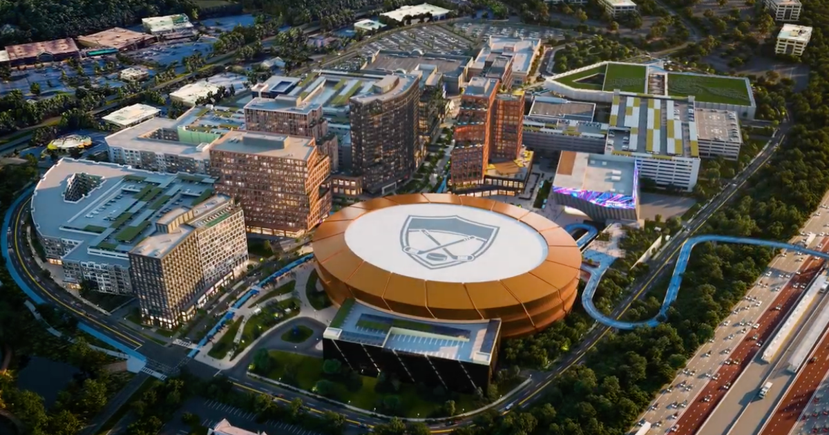 Alpharetta City Council to vote on plans for an NHL arena and new North ...