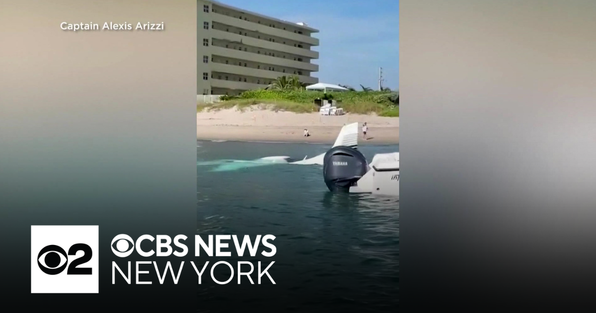 Young pilot makes emergency landing in water off Florida beach