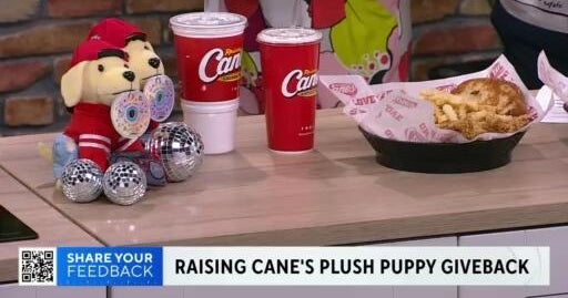 Raising Cane’s celebrates birthday with mission to help animals in need