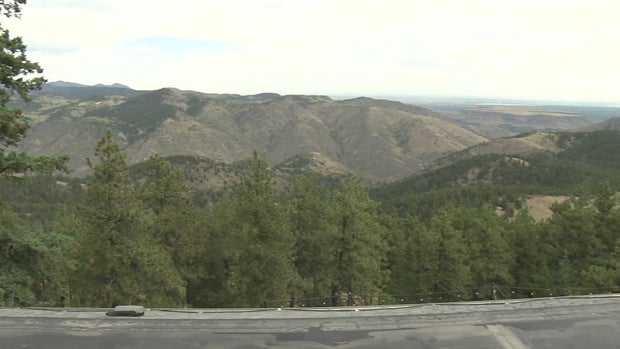 mountain-view-wildfire-mitigation.jpg