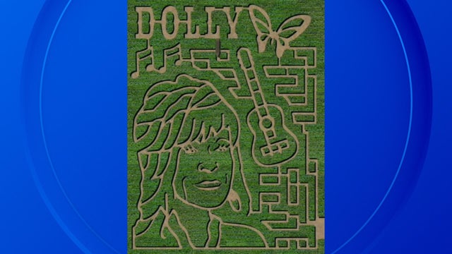 dolly-maze.jpg 