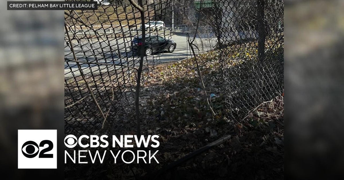 Bronx parents, coaches concerned about Little League field conditions