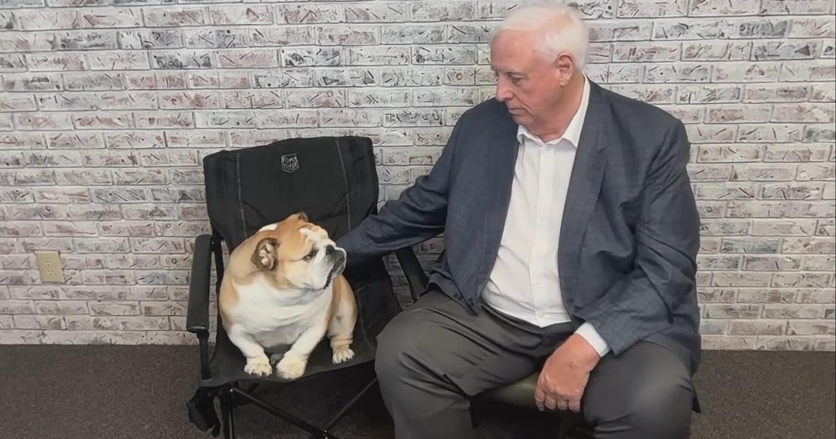 Celebrating National Dog Day with Sen. Jim Justice and Babydog