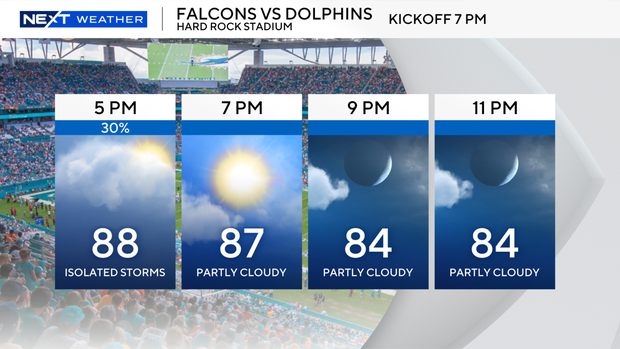dolphins-home-game.png