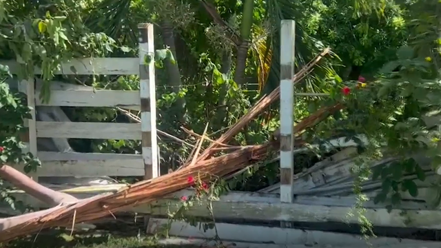 tree-strike.png 