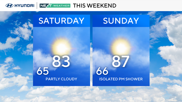 z-weekend-forecast-bug-safe.png 
