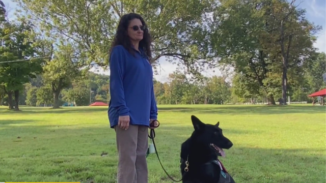 lifechangingservicedogs.png 