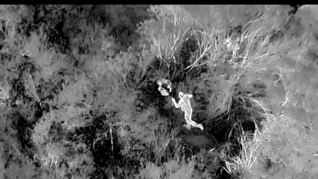 How drones are revolutionizing the search for lost pets 
