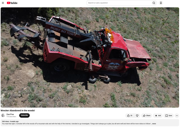 forest-cleanup-8-youtube-screenshot.png 