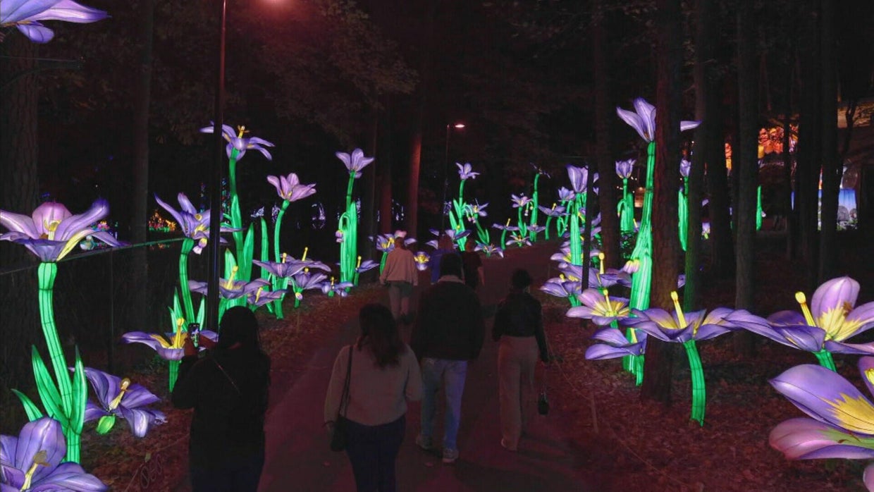 Denver's Four Mile Historic Park offers colorful lantern adventure ...