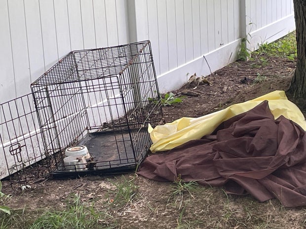 crate2.jpg
