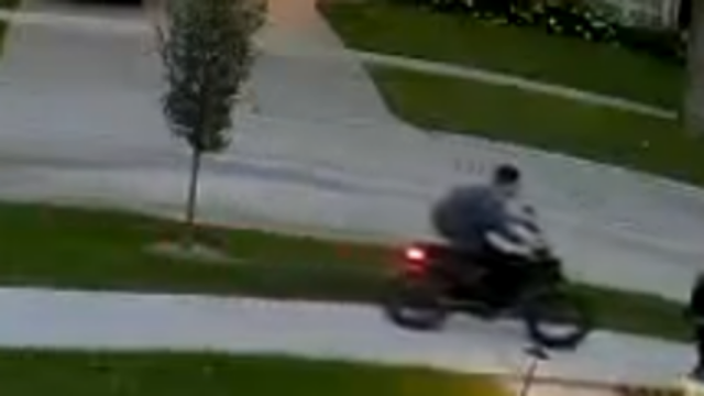 Naperville battery suspect 