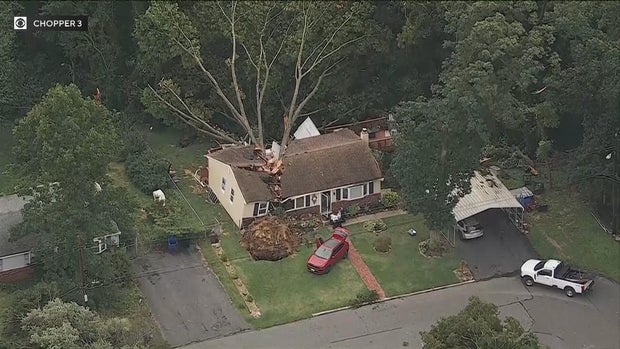Chopper image of the tree slicing through the house in Mantua Township 