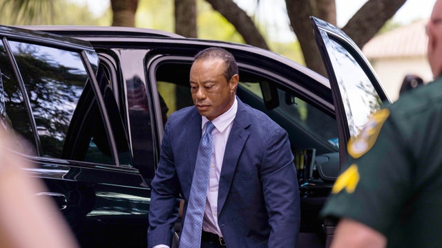 Tiger Woods Attends Plea Conference Hearing In DUI Case 