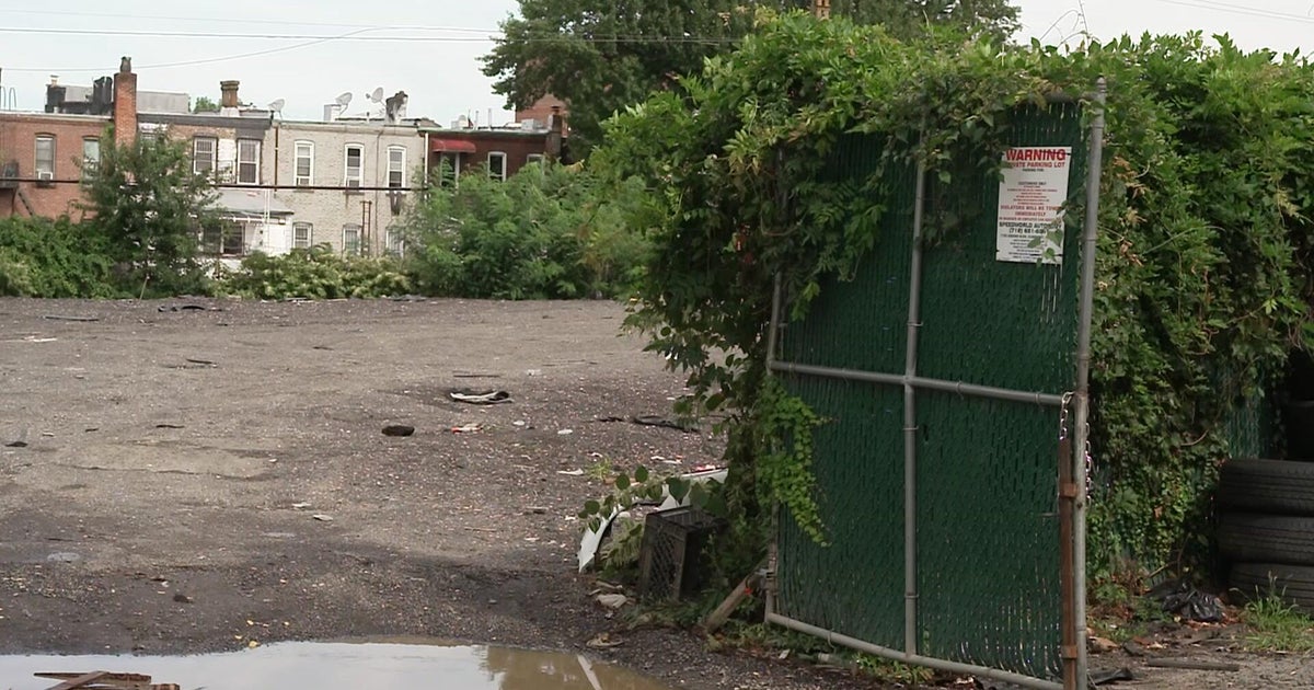 N.Y. leaders hope to protect historic African burial ground in Queens ...