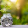 money Bottle Banknotes tree Image of bank note with plant growing on top for business green natural background money saving and investment financial concept 
