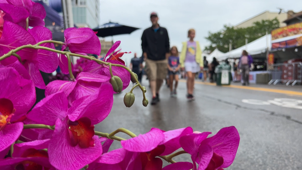 Arts, Beats & Eats festival delays Friday opening due to extreme weather