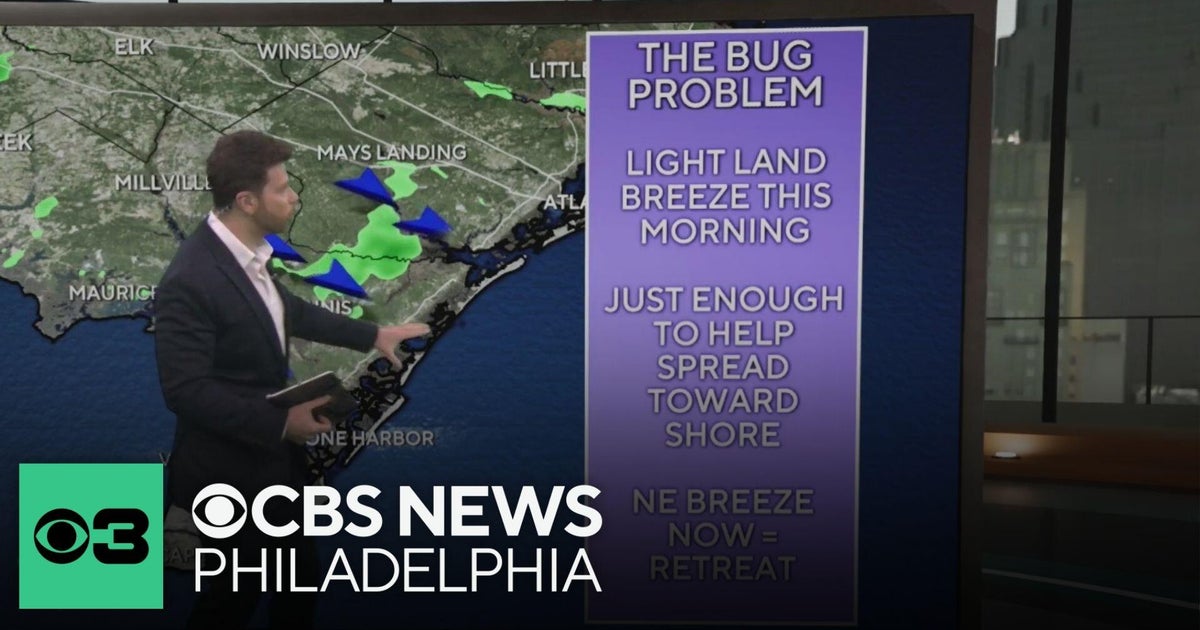 Why are so many bugs at the Jersey Shore?