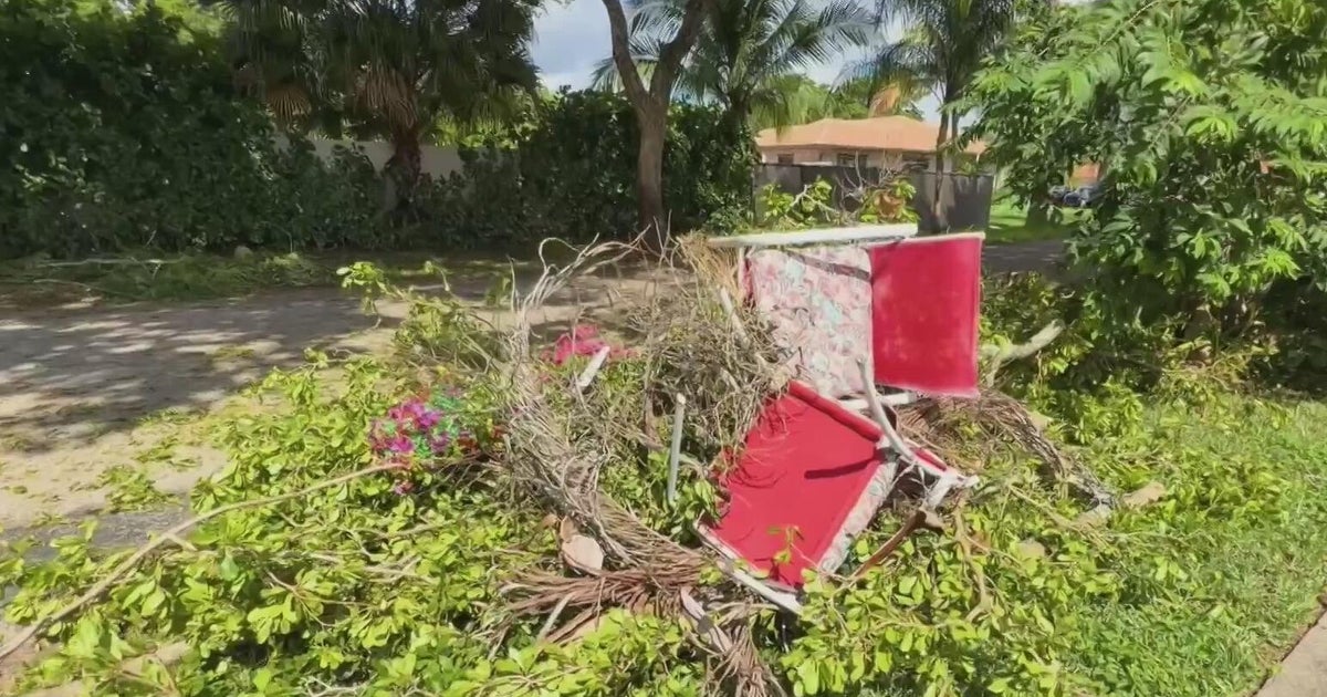 Strong storm with wind gusts topple down trees and power lines at a Plantation neighborhood