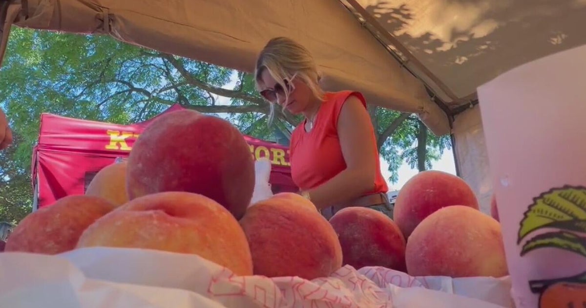 Romeo Peach Festival celebrates peach-themed foods and products