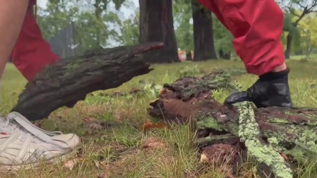 belle-isle-cleanup-slider.jpg 