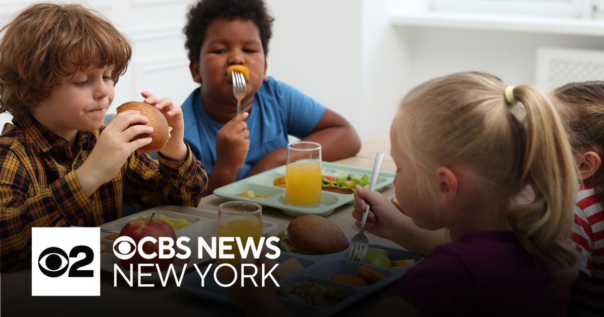Dietitian shares the key to a healthy lunchbox this school year