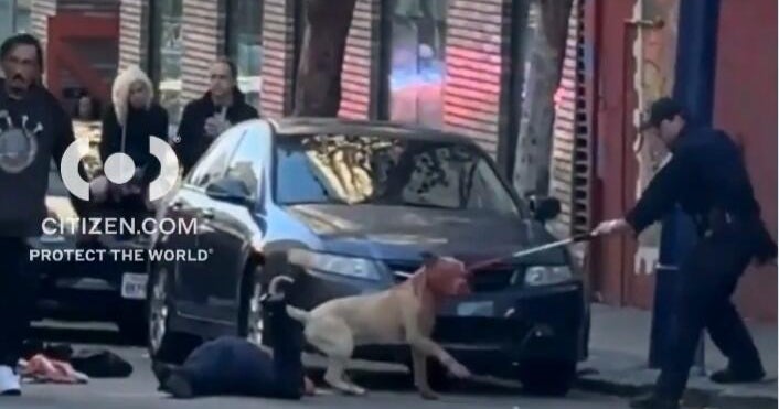 Assault News Image