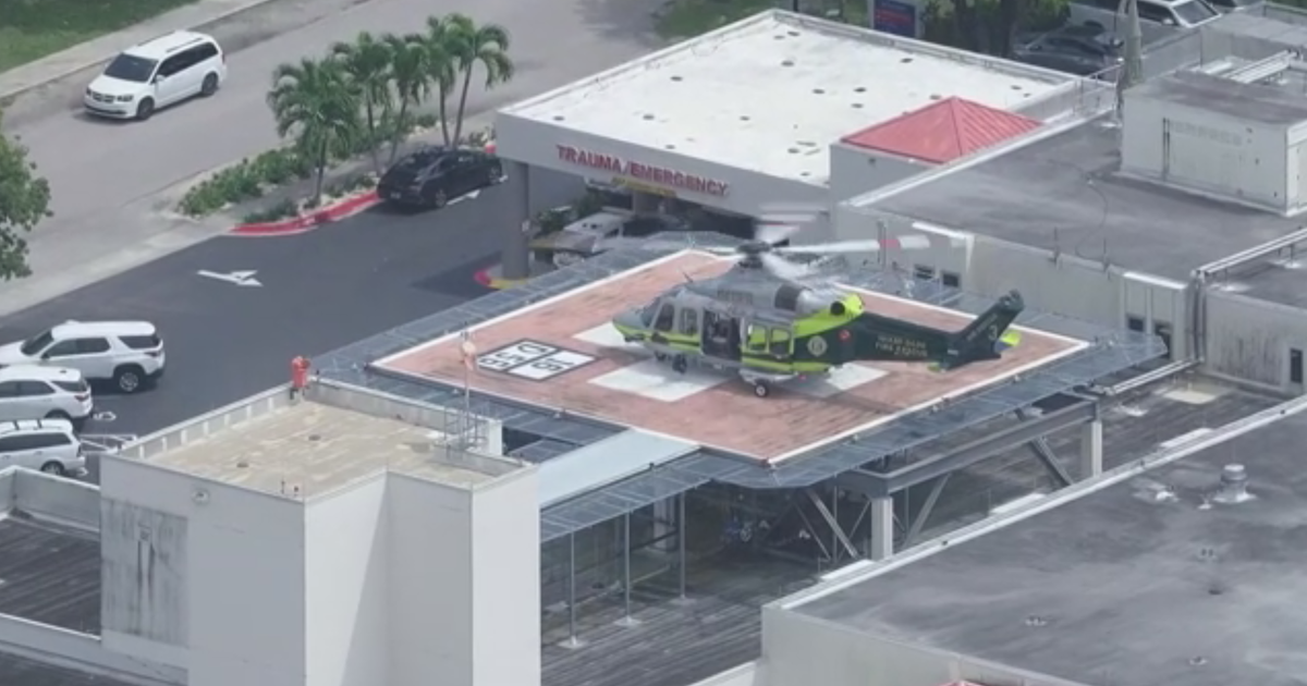 Woman airlifted to the hospital after family dog attack in Miami-Dade, deputies said