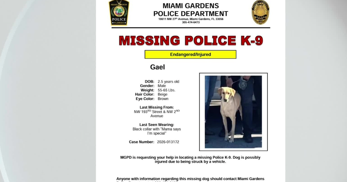 Miami Gardens police searching for missing K9; no sightings reported so far, union president says