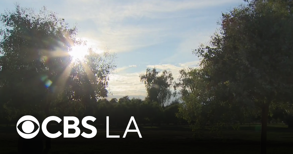 Hot and humid weather creates swampy conditions in Southern California