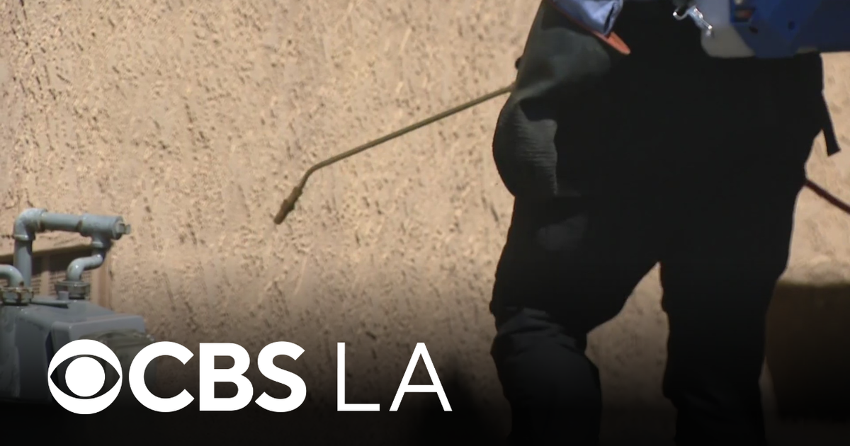 Southern California heat and humidity create perfect formula for pest infestations