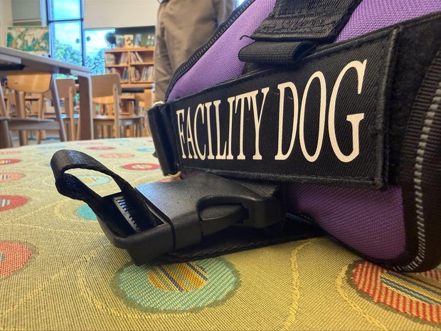 priority-health-priority-pups.jpg