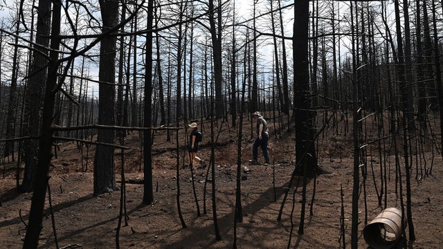 The aftermath of the Aspen Acres fire 