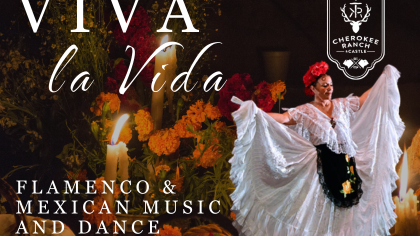 viva-la-vida-flamenco-folklorico-button.png 