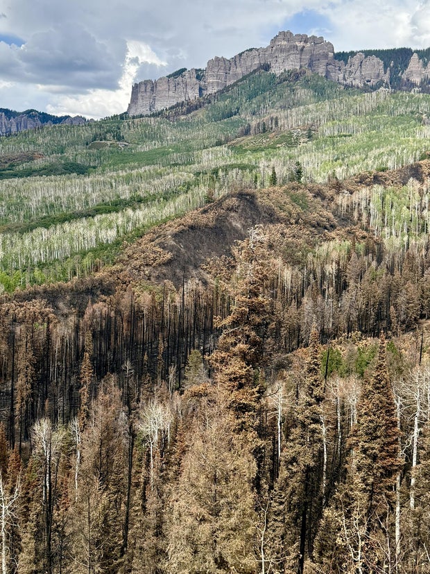 gold-mountain-fire-8-28-2026-usfs.jpg