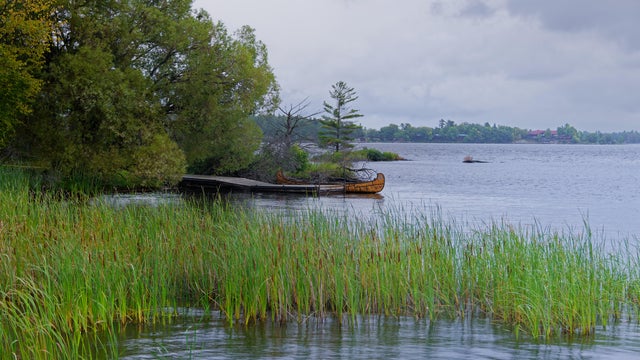 Serene lakeside view with a canoe docked by a wooden pier, surrounded by lush green reeds under a cloudy sky 