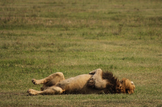 Tanzania Daily Life