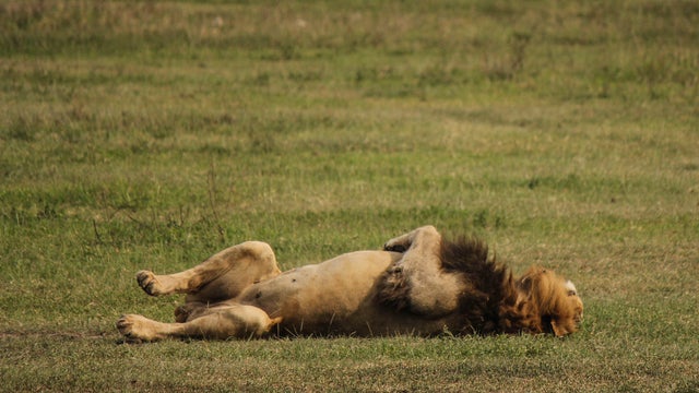 Tanzania Daily Life 
