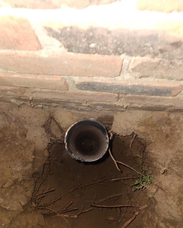 cat-rescue-pipe-cropped.jpg