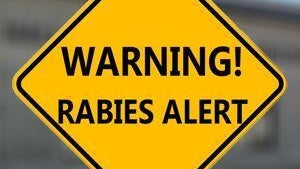 rabies-warning-sign-0.jpg 