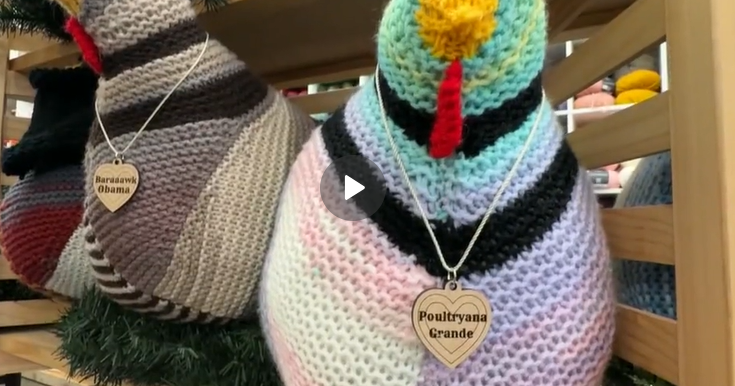 Knitted emotional support chickens bring national attention to an L.A. small business