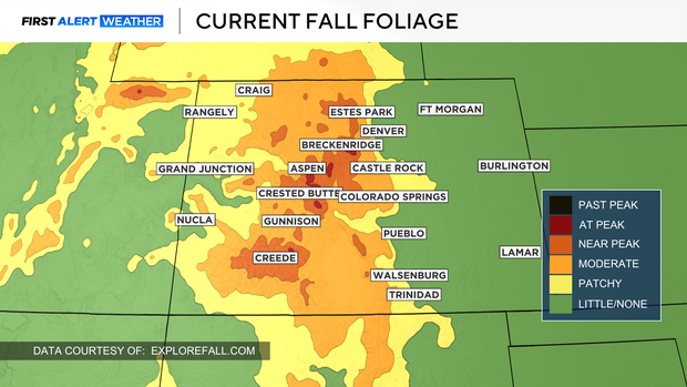 current-fall-colors.png