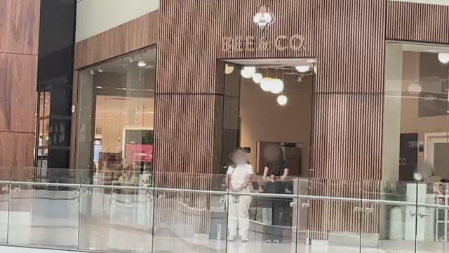 bee-co.png 