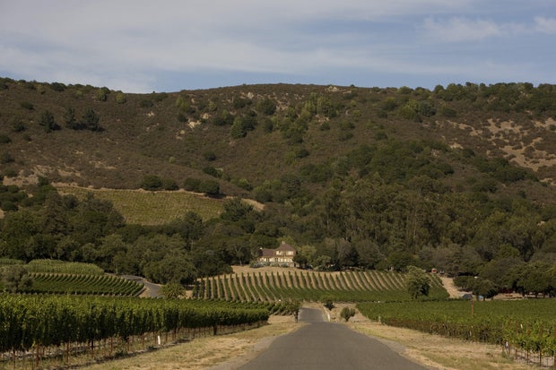 Gundlach Bundschu Winery in Sonoma, California 